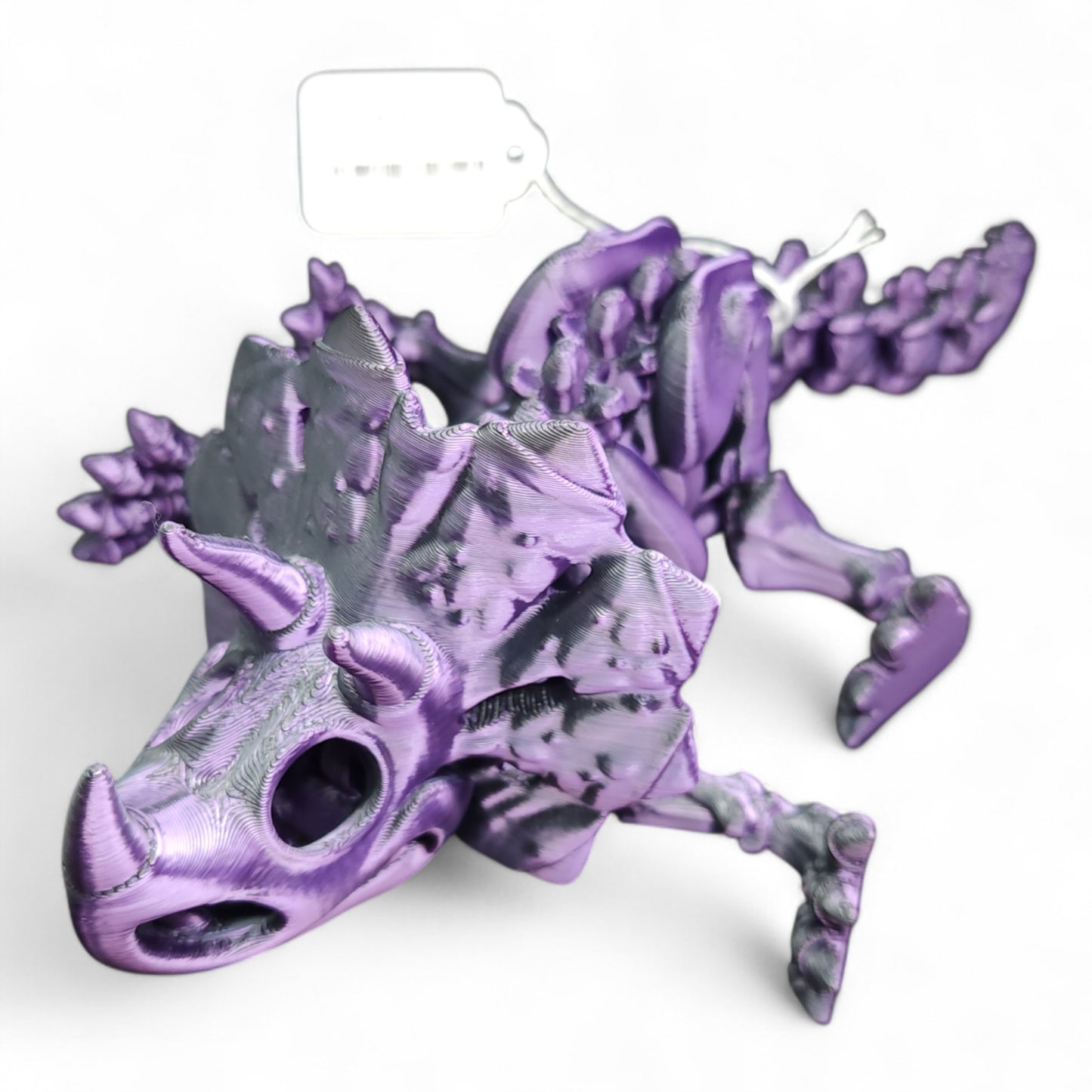 Triceratops Skeleton