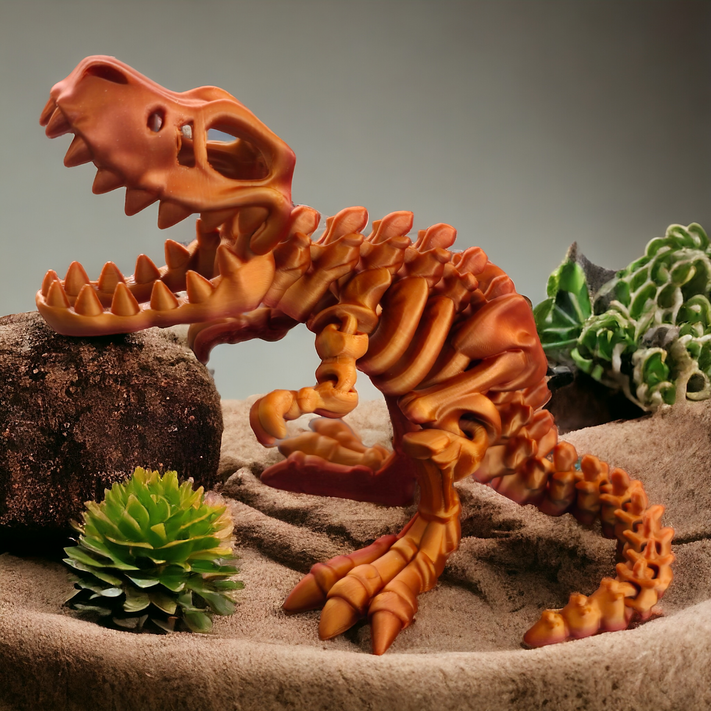 T-Rex Skeleton