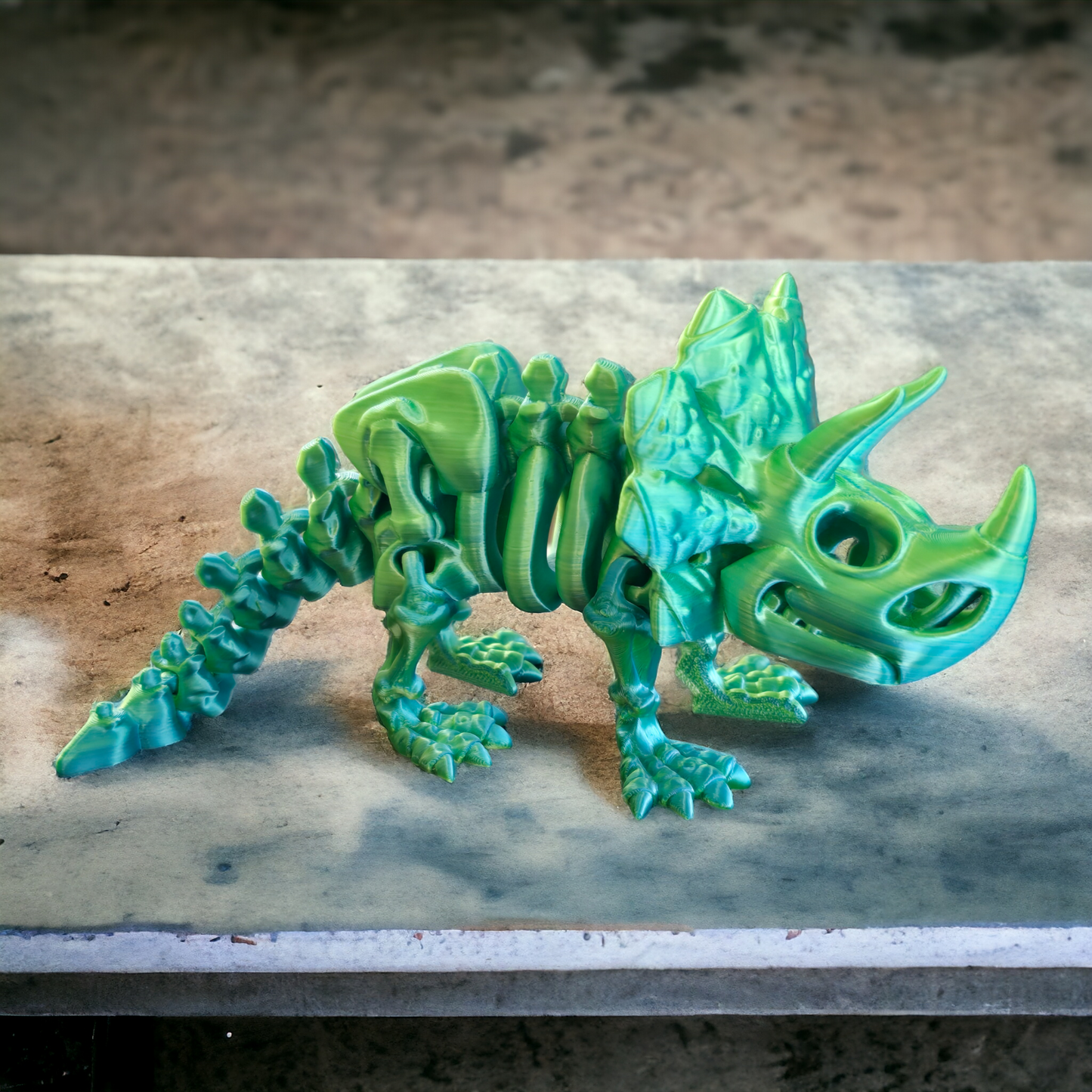 Triceratops Skeleton