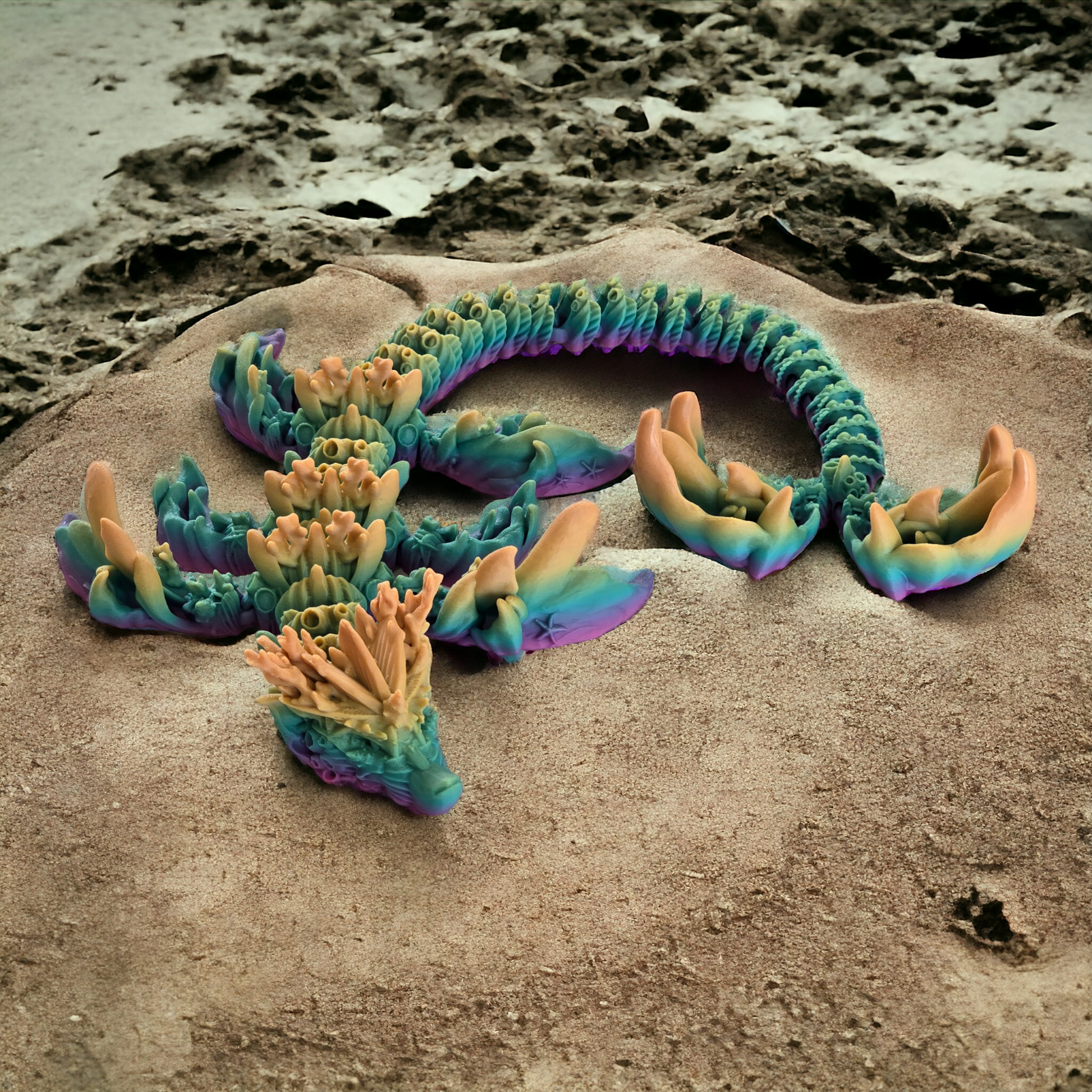 Flexi Coral Dragon resting on the beach